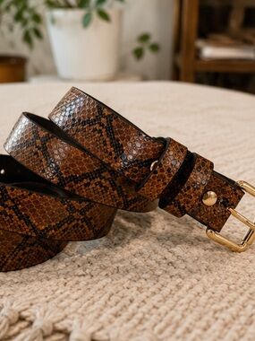 NWT Luxe Brown Snakeskin Print Faux Leather Belt Gold Buckle